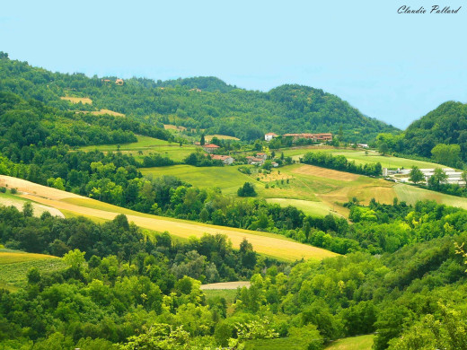40575 (a): :1600x1200